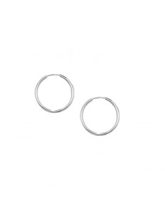 Sleeper Hoops - Silver